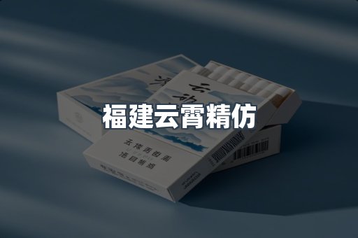 福建云霄精仿